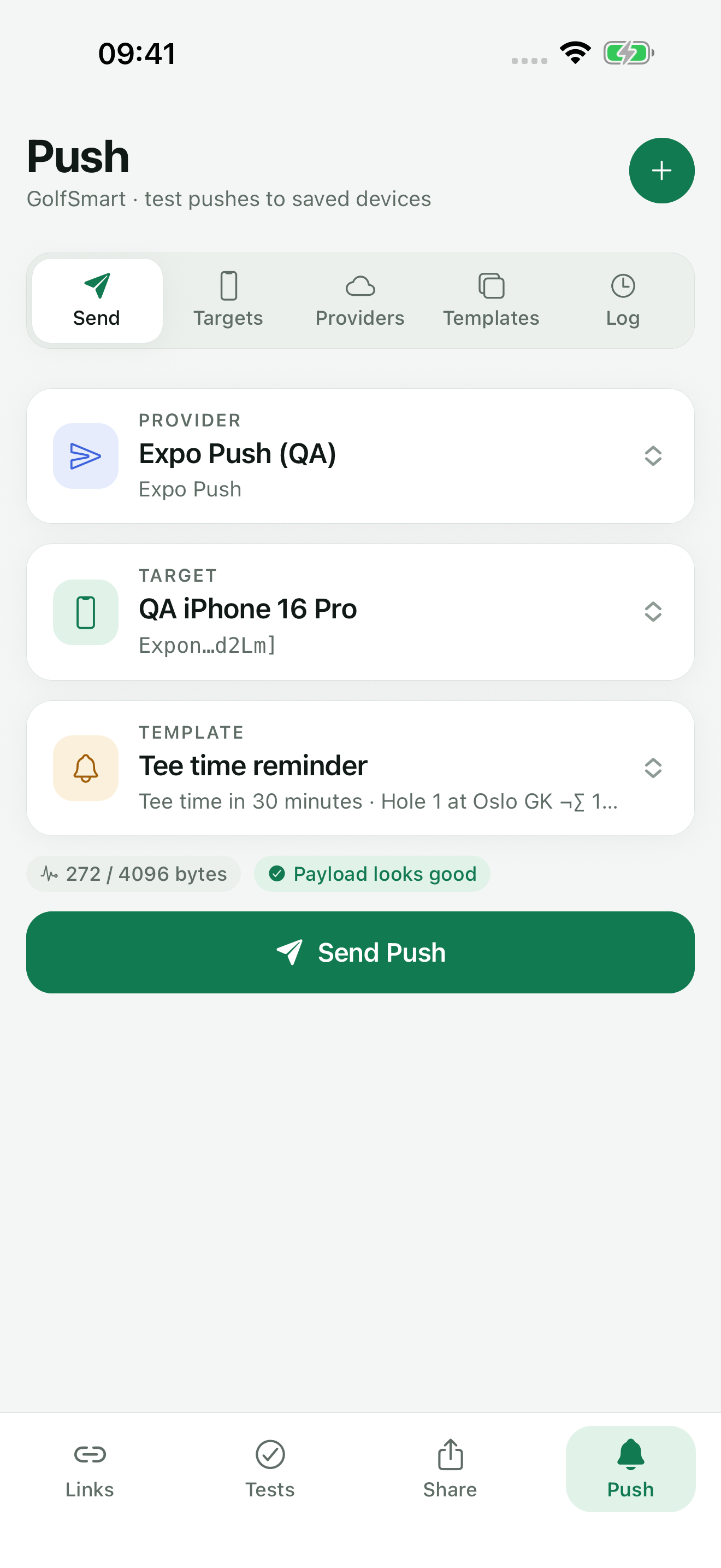 TestDock Push tab with an Expo Push provider, a target iPhone, a template, and a payload size check